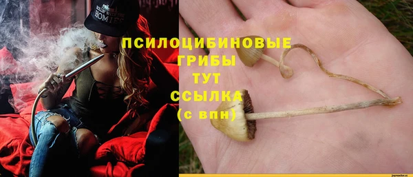 экстази Горняк