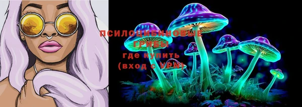 сатива Покров